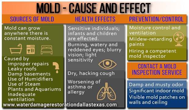 Mold, Cause and Effect