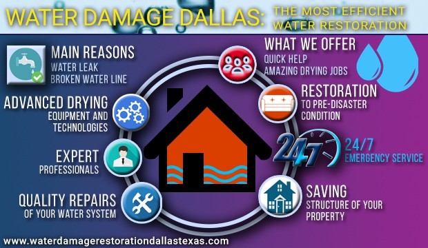 Water Damage Dallas Service
