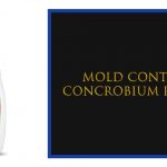 Concrobium Mold Control Featured picture