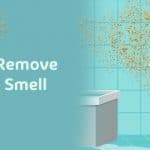 Remove mildew smell