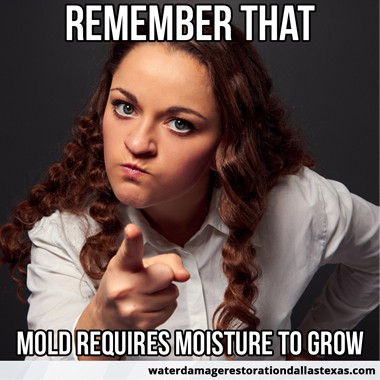 mold require moisture